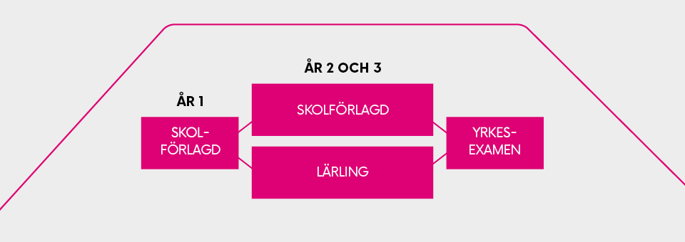 Illustration över år 1 till 3 på lärningsutbildningen