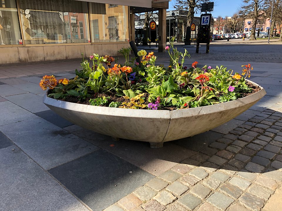 Bild visar planteringskärl Vid Blom
